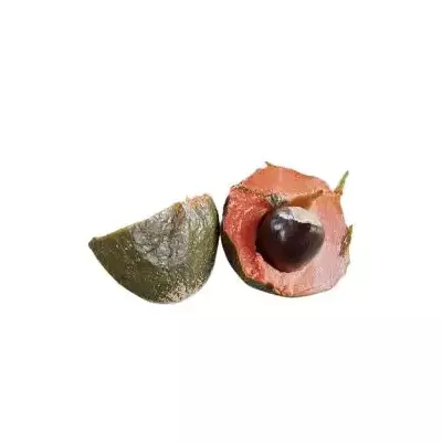 Green Sapote, Red faisan fruit