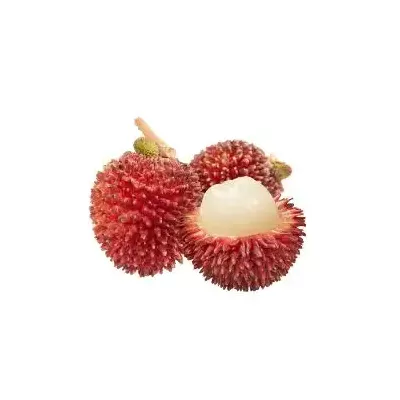 Pulasan, Filosan Fruit
