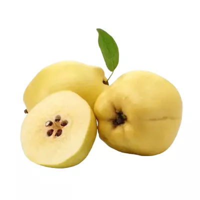 Sabarjil, Quince fruit