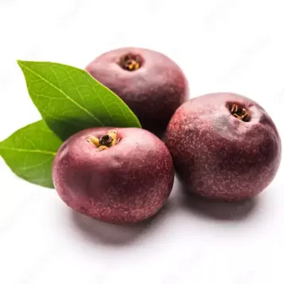 Sweet Kokum, Rajapuli fruit