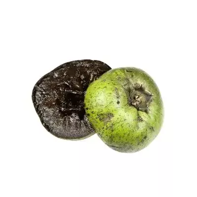 Black Sapote Fruit